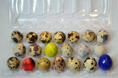 Similar image 1011918