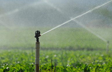 Similar image 1011965