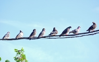 Similar image 1012018