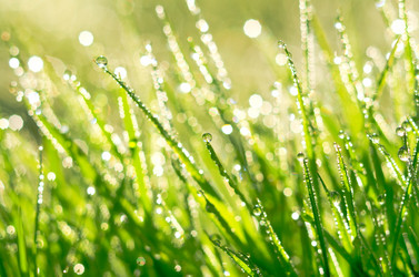 Similar image 1012157