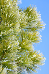 Similar image 1012158