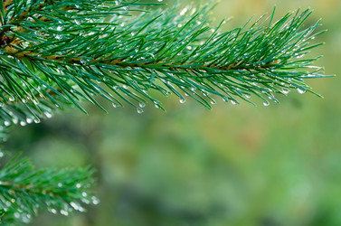 Similar image 1012162