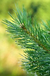 Similar image 1012163