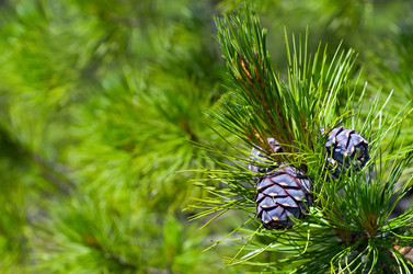 Similar image 1012164