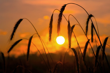 Similar image 1012165