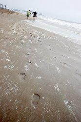 Similar image 1012199