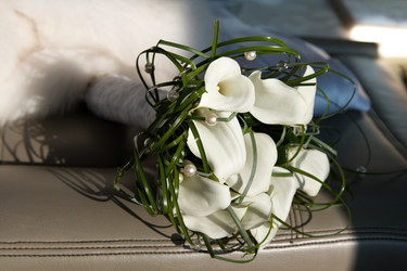 Similar image 1012323