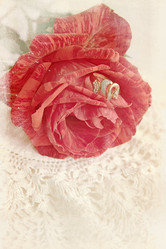 Similar image 1012350