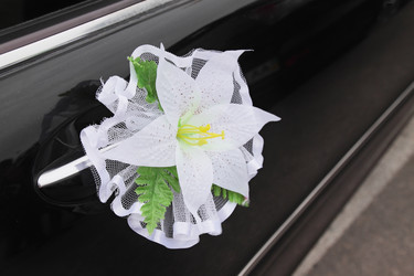 Similar image 1012356