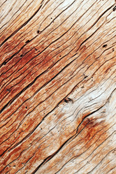 Similar image 1012404