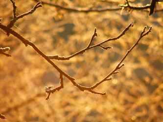 Similar image 1012414