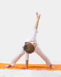 Similar image 1012885