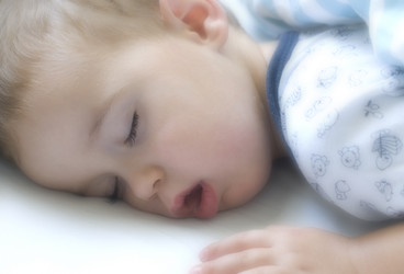 Similar image 1013063