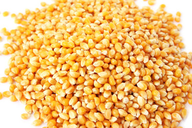 Similar image 1013070