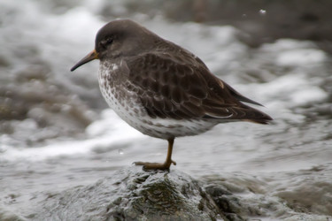 Similar image 1013293