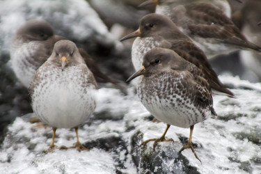 Similar image 1013294