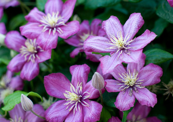 Similar image 1013329