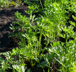 Similar image 1013600