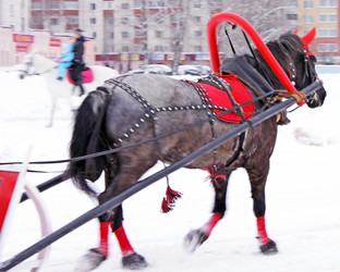 Similar image 1013623