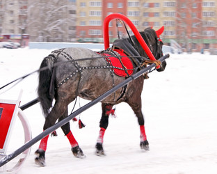 Similar image 1013627