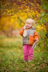 Similar image 1013906