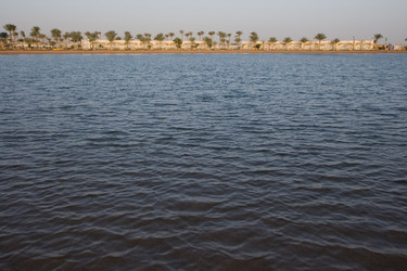 Similar image 1013982