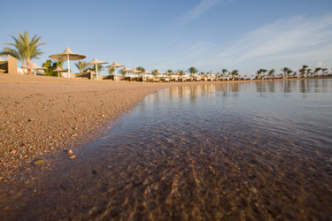 Similar image 1013985