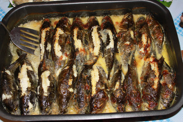 Similar image 1013994