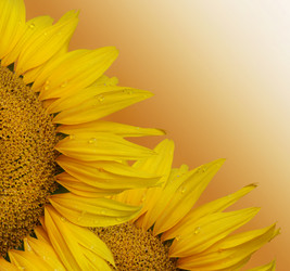 Similar image 1014043