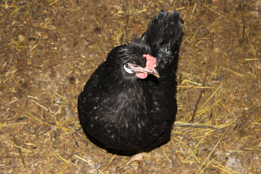 Similar image 1014065