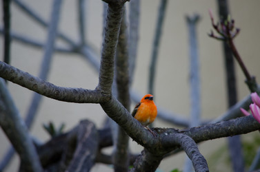 Similar image 1014069