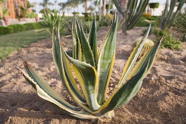 Similar image 1014088