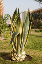 Similar image 1014089