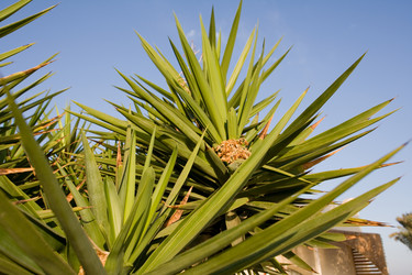 Similar image 1014090