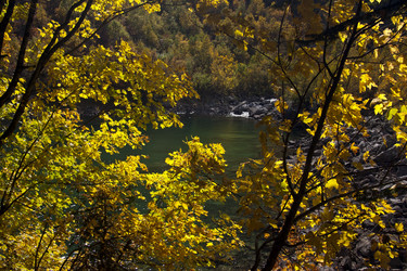 Similar image 1014109