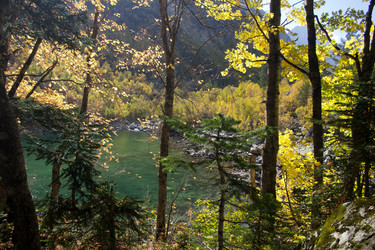 Similar image 1014111