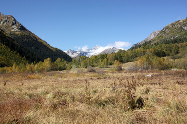 Similar image 1014122