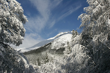 Similar image 1014136