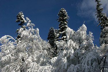 Similar image 1014137