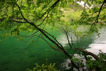 Similar image 1014155