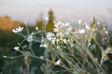 Similar image 1014157