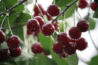 Similar image 1014328