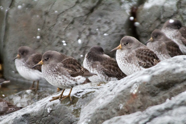 Similar image 1014469