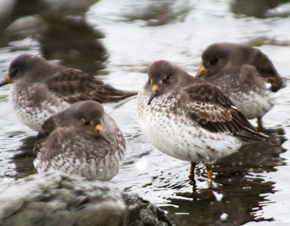 Similar image 1014473