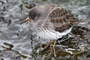 Similar image 1014515