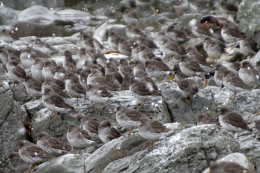 Similar image 1014516