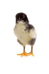 Similar image 1014595