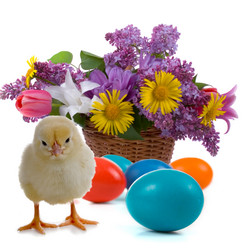 Similar image 1014606