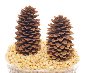 Similar image 1014632