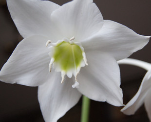 Similar image 1014635